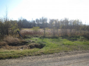 Photo for TBD Bankton Road SW, Baudette, MN 56623 - Listing #5586211 TBD Bankton Road SW, Baudette, MN 56623