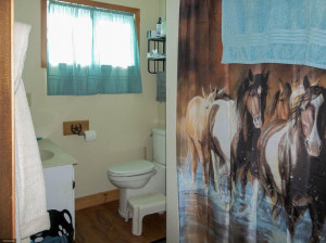 Photo for 13364 200th Street SE, Red Lake Falls, MN 56750 - Listing #5621160 13364 200th Street SE, Red Lake Falls, MN 56750