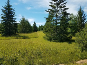 Photo for 8640 Hwy 11, Birchdale, MN 56629 - Listing #5626744 8640 Hwy 11, Birchdale, MN 56629