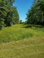 Photo for 8640 Hwy 11, Birchdale, MN 56629 - Listing #5626744 8640 Hwy 11, Birchdale, MN 56629