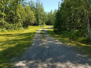 Photo for 8640 Hwy 11, Birchdale, MN 56629 - Listing #5626744 8640 Hwy 11, Birchdale, MN 56629