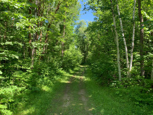 Photo for 48691 Randall Court NE, Kelliher, MN 56650 - Listing #5599509 48691 Randall Court NE, Kelliher, MN 56650