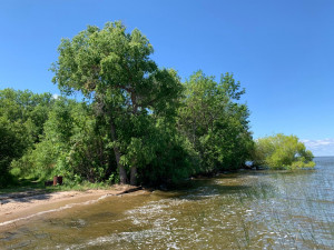 Photo for 48691 Randall Court NE, Kelliher, MN 56650 - Listing #5599509 48691 Randall Court NE, Kelliher, MN 56650