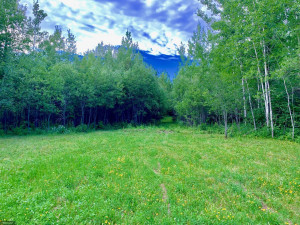 Photo for Tract A UT Road 140, Birchdale, MN 56629 - Listing #5629845 Tract A UT Road 140, Birchdale, MN 56629