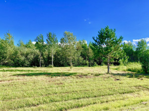 Photo for TBD Pine Ridge Lane NW, Baudette, MN 56623 - Listing #5587344 TBD Pine Ridge Lane NW, Baudette, MN 56623