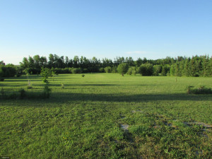 Photo for 3012 Highway 11 SE, Baudette, MN 56623 - Listing #5620309 3012 Highway 11 SE, Baudette, MN 56623