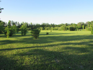 Photo for 3012 Highway 11 SE, Baudette, MN 56623 - Listing #5620309 3012 Highway 11 SE, Baudette, MN 56623