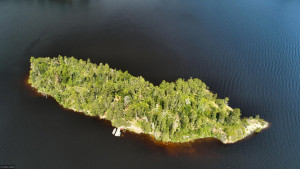 Photo for - Govt Lot 5 & 9 Island, International Falls, MN 56649 - Listing #5559315 - Govt Lot 5 & 9 Island, International Falls, MN 56649