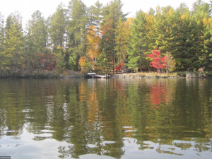 Photo for - Govt Lot 5 & 9 Island, International Falls, MN 56649 - Listing #5559315 - Govt Lot 5 & 9 Island, International Falls, MN 56649