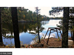 Photo for - Govt Lot 5 & 9 Island, International Falls, MN 56649 - Listing #5559315 - Govt Lot 5 & 9 Island, International Falls, MN 56649