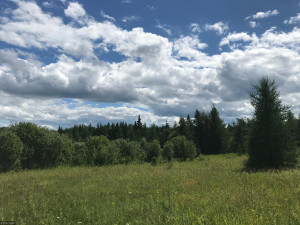 Photo for XX US Hwy 53, Ray, MN 56649 - Listing #5622121 XX US Hwy 53, Ray, MN 56649