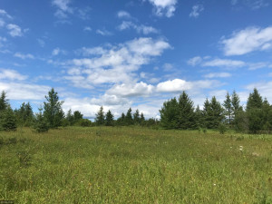 Photo for XX US Hwy 53, Ray, MN 56649 - Listing #5622121 XX US Hwy 53, Ray, MN 56649