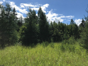 Photo for XX US Hwy 53, Ray, MN 56649 - Listing #5622121 XX US Hwy 53, Ray, MN 56649