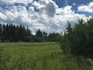 Photo for XX US Hwy 53, Ray, MN 56649 - Listing #5622121 XX US Hwy 53, Ray, MN 56649