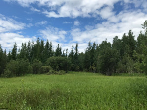 Photo for XX US Hwy 53, Ray, MN 56649 - Listing #5622121 XX US Hwy 53, Ray, MN 56649
