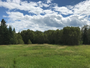 Photo for XX US Hwy 53, Ray, MN 56649 - Listing #5622121 XX US Hwy 53, Ray, MN 56649