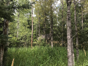 Photo for XX US Hwy 53, Ray, MN 56649 - Listing #5622121 XX US Hwy 53, Ray, MN 56649