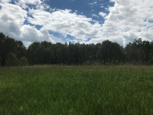 Photo for XX US Hwy 53, Ray, MN 56649 - Listing #5622121 XX US Hwy 53, Ray, MN 56649