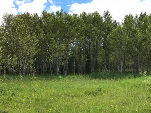 Photo for XX US Hwy 53, Ray, MN 56649 - Listing #5622121 XX US Hwy 53, Ray, MN 56649