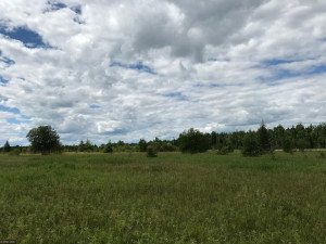 Photo for XX US Hwy 53, Ray, MN 56649 - Listing #5622121 XX US Hwy 53, Ray, MN 56649