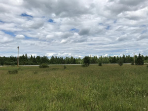 Photo for XX US Hwy 53, Ray, MN 56649 - Listing #5622121 XX US Hwy 53, Ray, MN 56649