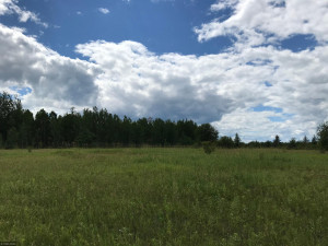 Photo for XX US Hwy 53, Ray, MN 56649 - Listing #5622121 XX US Hwy 53, Ray, MN 56649