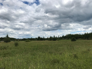 Photo for XX US Hwy 53, Ray, MN 56649 - Listing #5622121 XX US Hwy 53, Ray, MN 56649