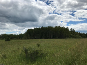 Photo for XX US Hwy 53, Ray, MN 56649 - Listing #5622121 XX US Hwy 53, Ray, MN 56649