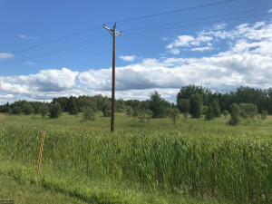Photo for XX US Hwy 53, Ray, MN 56649 - Listing #5622121 XX US Hwy 53, Ray, MN 56649