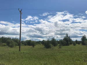 Photo for XX US Hwy 53, Ray, MN 56649 - Listing #5622121 XX US Hwy 53, Ray, MN 56649
