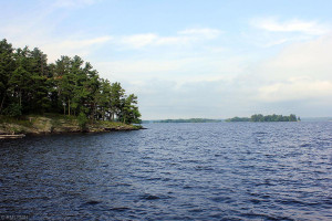 Photo for XX US Hwy 53, Ray, MN 56649 - Listing #5622121 XX US Hwy 53, Ray, MN 56649