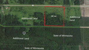 Photo for XX US Hwy 53, Ray, MN 56649 - Listing #5622121 XX US Hwy 53, Ray, MN 56649