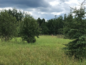 Photo for XX US Hwy 53, Ray, MN 56649 - Listing #5622121 XX US Hwy 53, Ray, MN 56649