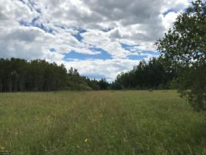 Photo for XX US Hwy 53, Ray, MN 56649 - Listing #5622121 XX US Hwy 53, Ray, MN 56649