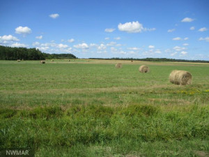 Photo for 0 0, Williams, MN 56686 - Listing #5636923 0 0, Williams, MN 56686
