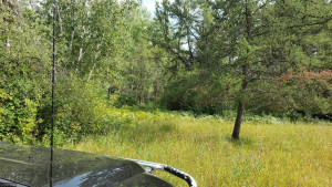 Photo for 49481 320th St, Roseau, MN 56751 - Listing #5641896 49481 320th St, Roseau, MN 56751