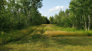 Photo for 49481 320th St, Roseau, MN 56751 - Listing #5641896 49481 320th St, Roseau, MN 56751