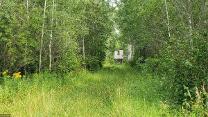 Photo for 49481 320th St, Roseau, MN 56751 - Listing #5641896 49481 320th St, Roseau, MN 56751