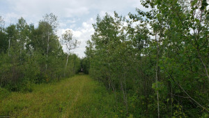 Photo for 49481 320th St, Roseau, MN 56751 - Listing #5641896 49481 320th St, Roseau, MN 56751