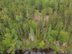 Photo for 2169 Town Road 489, International Falls, MN 56649 - Listing #5260896 2169 Town Road 489, International Falls, MN 56649