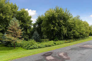 Photo for 10348 99th Street NE, Monticello, MN 55362 - Listing #5644256 10348 99th Street NE, Monticello, MN 55362