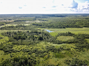 Photo for 8624 County Road 1 SW, Pequot Lakes, MN 56472 - Listing #5648216 8624 County Road 1 SW, Pequot Lakes, MN 56472