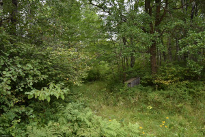 Photo for 67917 Kirkwood Drive, Warroad, MN 56763 - Listing #5647944 67917 Kirkwood Drive, Warroad, MN 56763