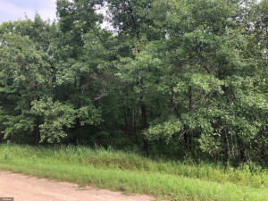 Photo for TBD Stump Lake Road NE, Bemidji, MN 56601 - Listing #5649158 TBD Stump Lake Road NE, Bemidji, MN 56601