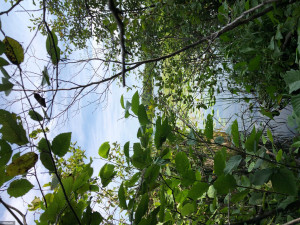 Photo for TBD Stump Lake Road NE, Bemidji, MN 56601 - Listing #5649158 TBD Stump Lake Road NE, Bemidji, MN 56601