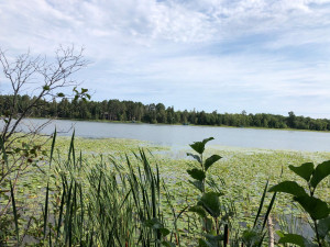 Photo for TBD Stump Lake Road NE, Bemidji, MN 56601 - Listing #5649158 TBD Stump Lake Road NE, Bemidji, MN 56601