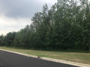 Photo for n/a Hawthorne Avenue NW, Warroad, MN 56763 - Listing #5646665 n/a Hawthorne Avenue NW, Warroad, MN 56763
