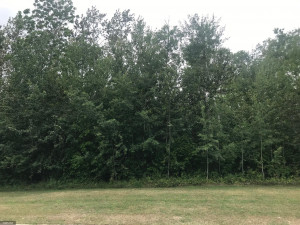 Photo for n/a Hawthorne Avenue NW, Warroad, MN 56763 - Listing #5646665 n/a Hawthorne Avenue NW, Warroad, MN 56763