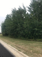 Photo for n/a Hawthorne Avenue NW, Warroad, MN 56763 - Listing #5646665 n/a Hawthorne Avenue NW, Warroad, MN 56763