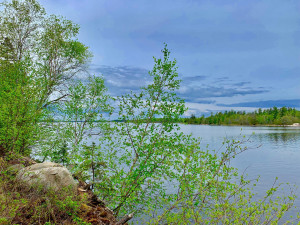 Photo for TBD Oak Island, Oak Island, MN 56741 - Listing #5592557 TBD Oak Island, Oak Island, MN 56741